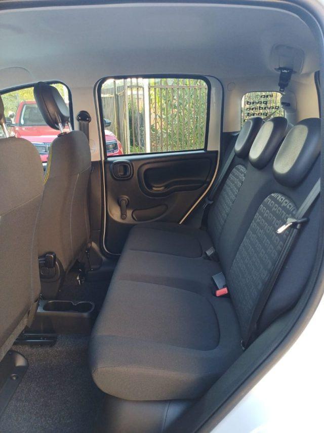 FIAT Panda 1000 HYBRID PANDINA 70 CV CARPLAY PDC ITALIA