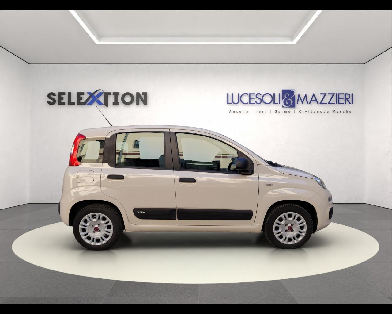 FIAT PANDA - Panda 1.2 Easy