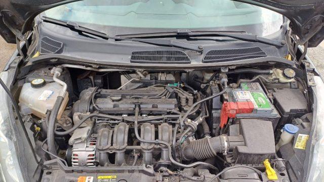 FORD Fiesta 1.2 82 CV 5 porte Titanium