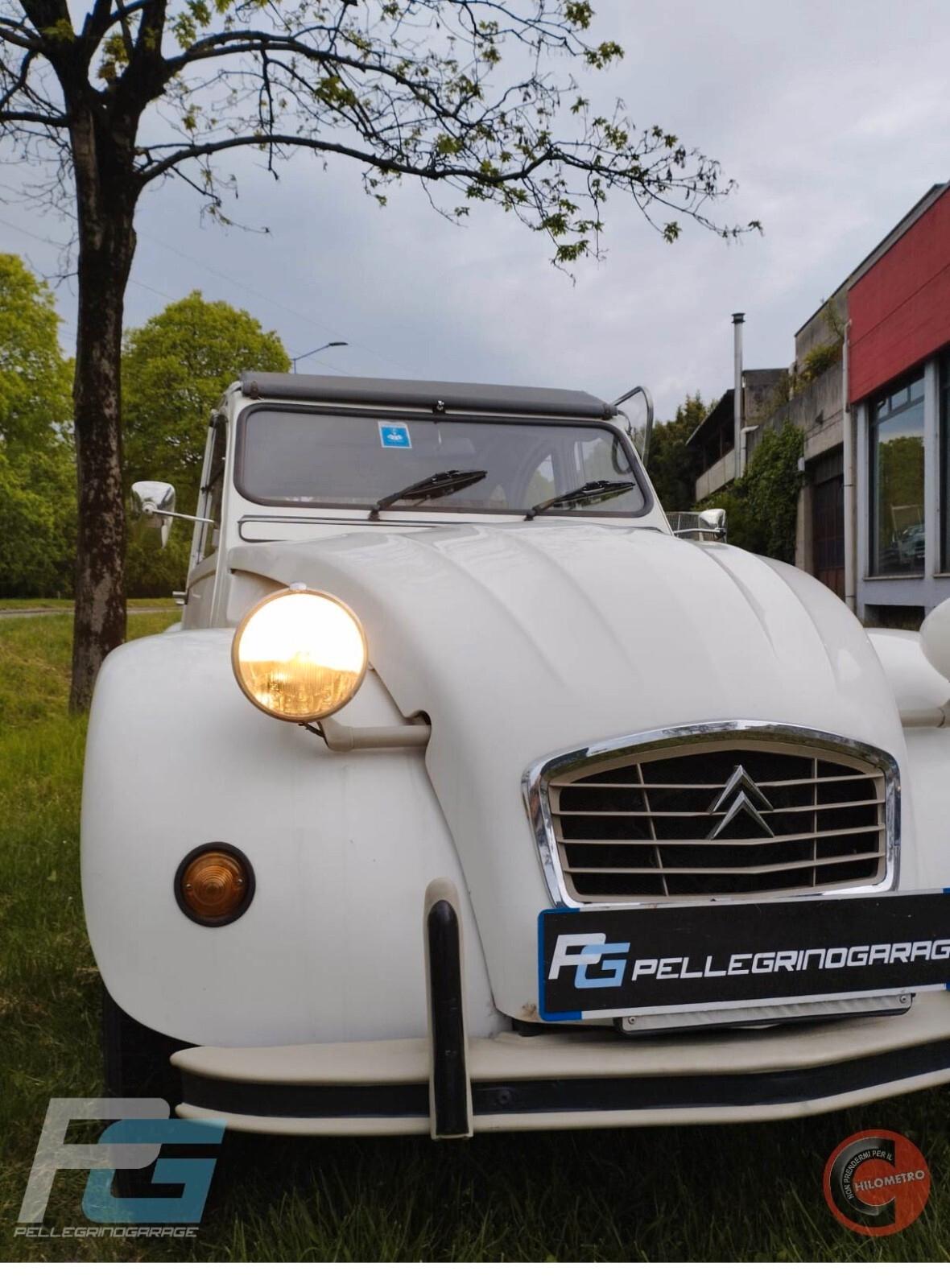 Citroen 2CV special