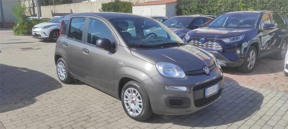 FIAT Panda 3ª serie 1.0 FireFly S&S Hybrid