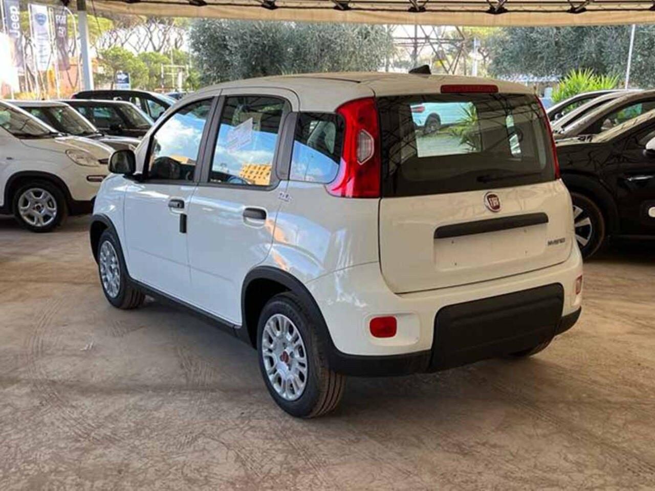 FIAT Panda III 2021 - Panda 1.0 firefly hybrid s&s 70cv