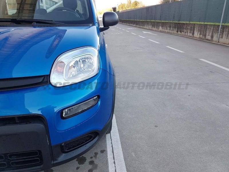 FIAT Panda Panda 1.0 70cv Hybrid Panda