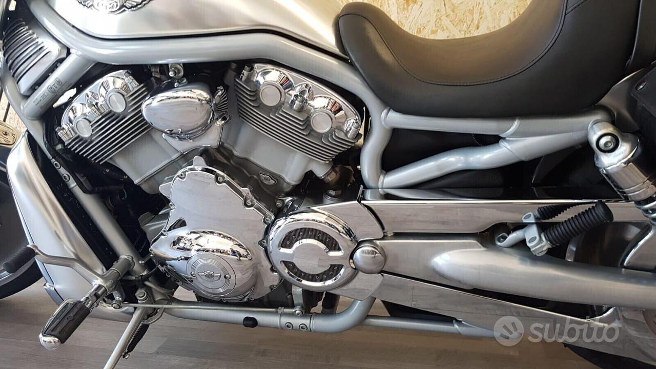 Harley-davidson V-Rod