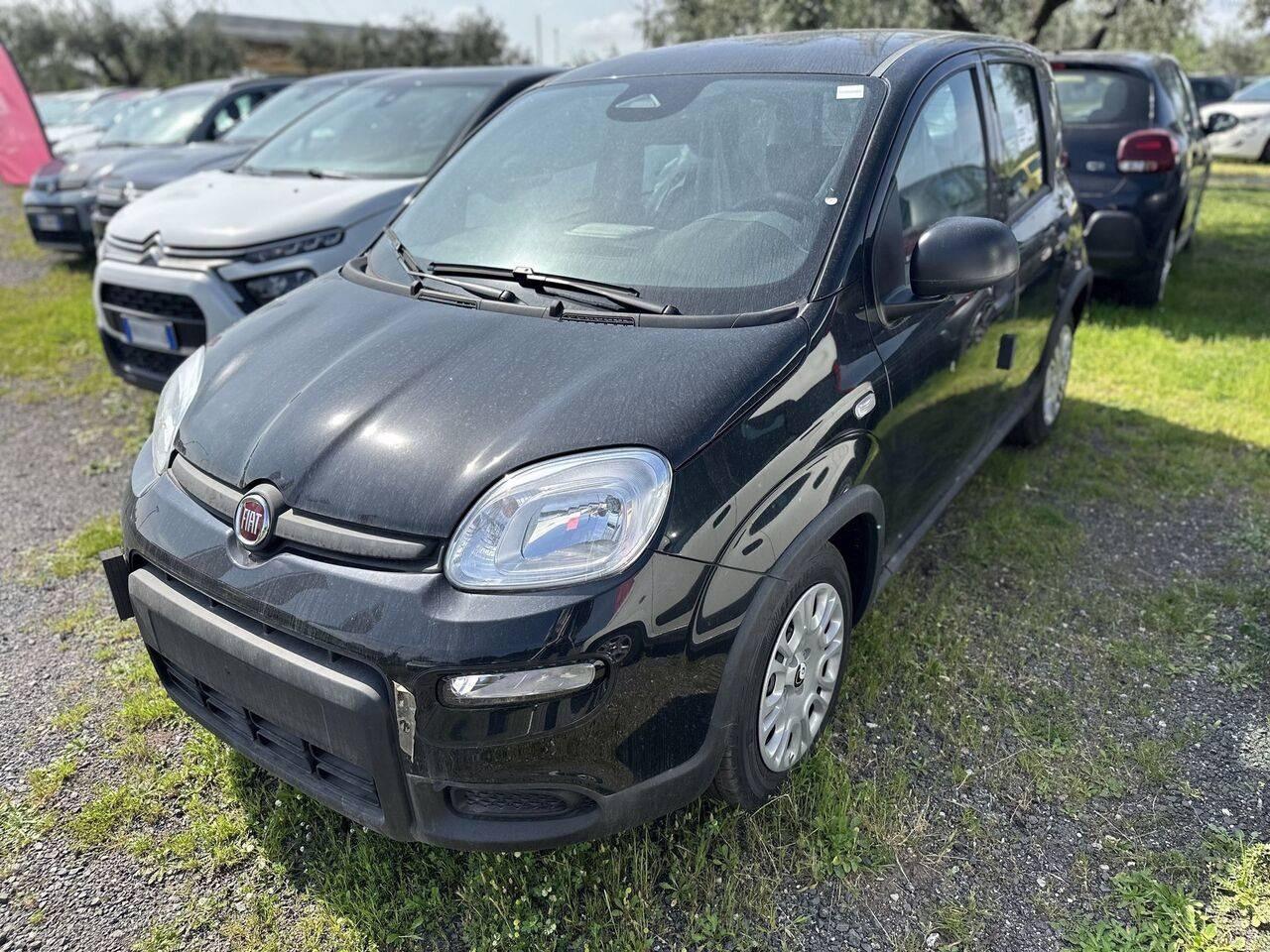 FIAT Pandina III 2024 - Pandina 1.0 firefly hybrid Pop s&s 70cv