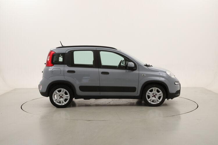 Fiat Panda Hybrid City Life BR531502 1.0 Mild Hybrid 70CV