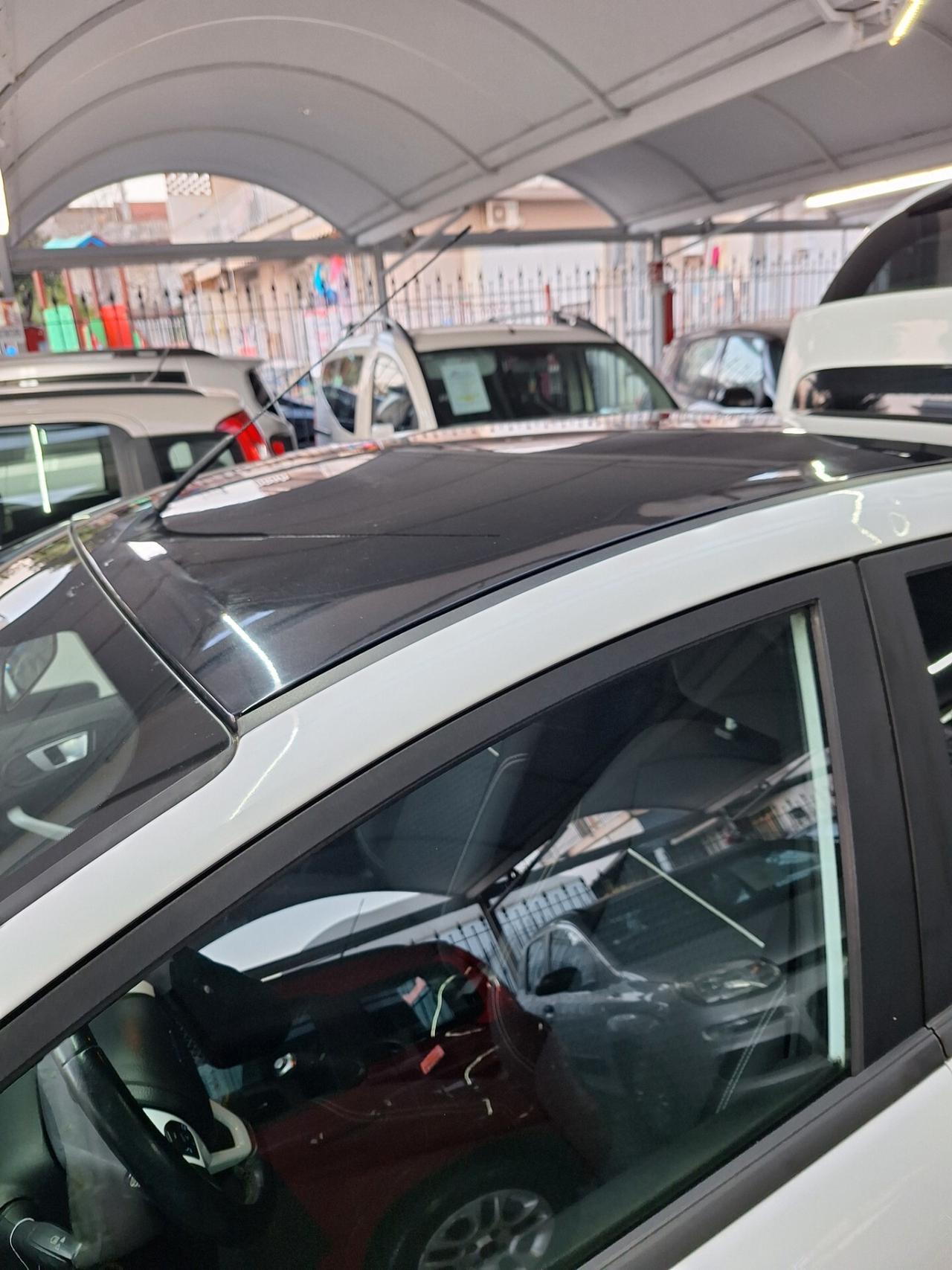 Ford Fiesta 1.5 TDCi 75CV 5 porte Black & White Edition E6