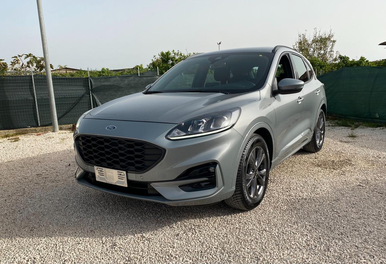 Ford Kuga 1.5 EcoBlue 120 CV aut. 2WD ST-Line X