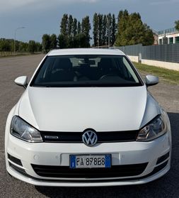 Volkswagen Golf Business 1.4 TGI DSG 5p. Highline BlueMotion