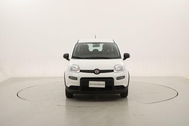 Fiat Panda Hybrid BR126525 1.0 Mild Hybrid 70CV