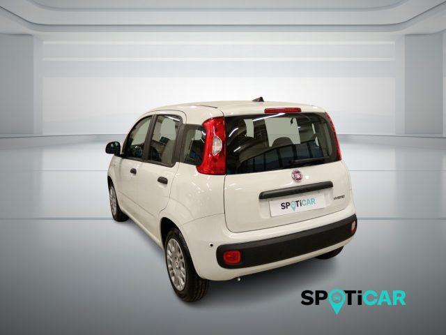 FIAT Panda 1.0 FireFly S&S Hybrid Icon