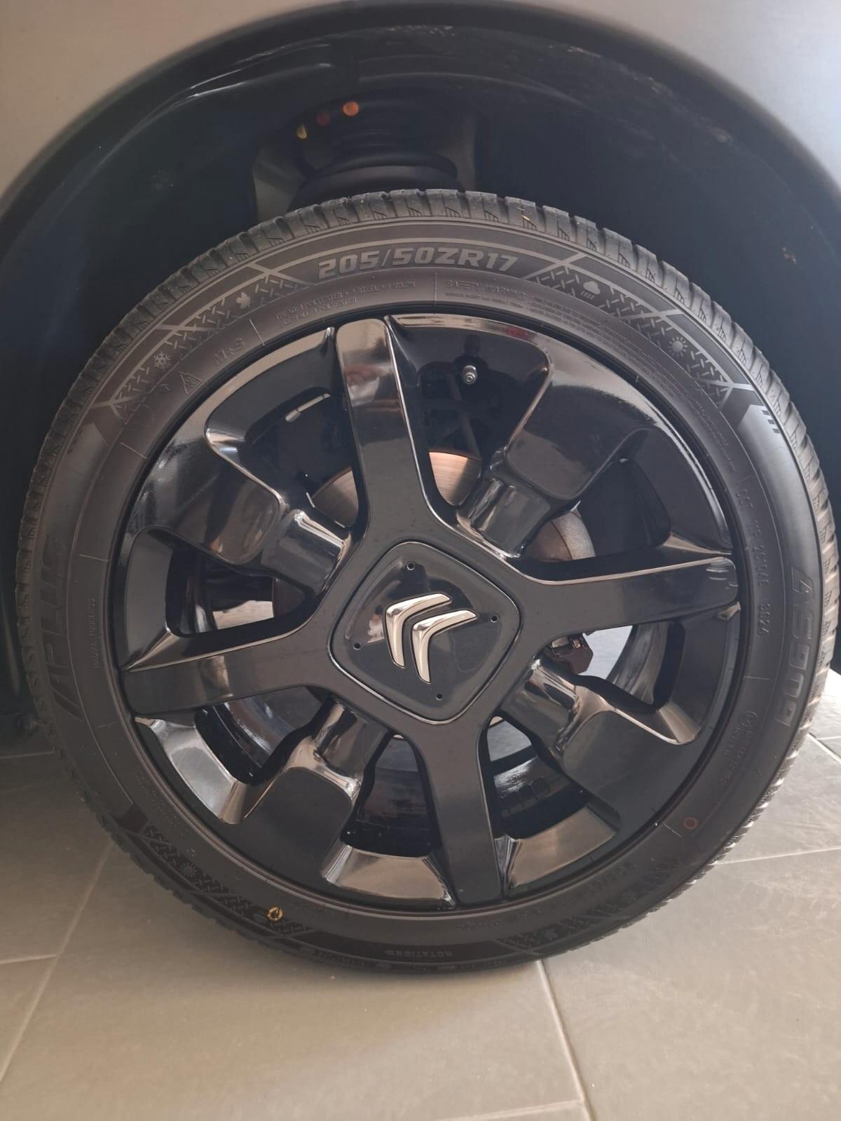 Citroen C4 Cactus BlueHDi 100 Shine 2016