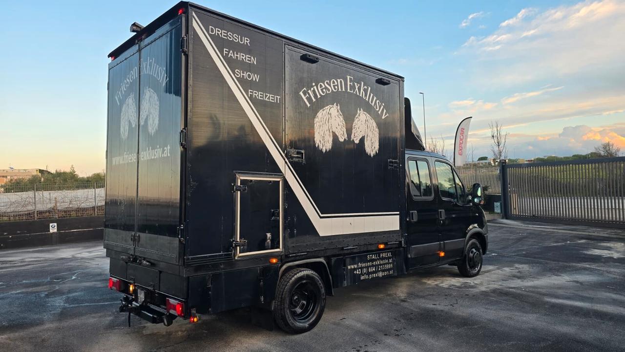 Iveco Daily - Trasporto Cavalli