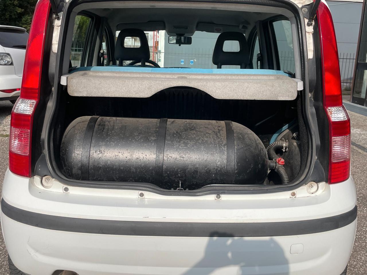 Fiat Panda 1.2 Dynamic METANO X NEOPATENTATI