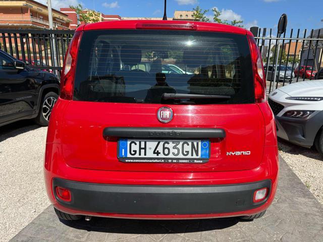 FIAT Panda 1.0 FireFly S&S Hybrid Eas 5 posti no obbligo fina