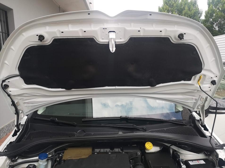 CITROEN C3 1.5 HDI 102 CV AUTOCARRO