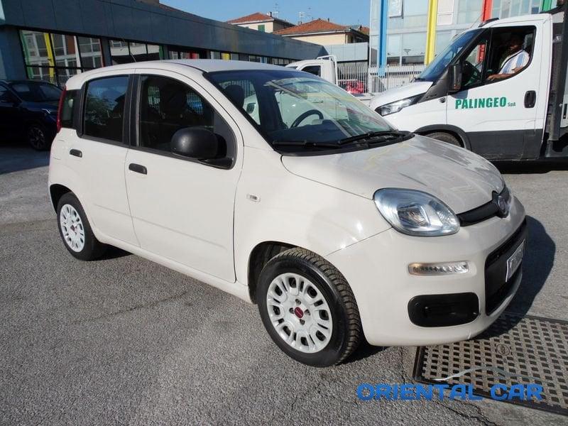 FIAT Panda Panda 1.2 Easy 69cv SOLO 68.000 KM CON KIT DISTRIBUZIONE NUOVA