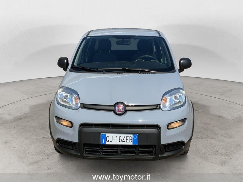 FIAT Panda 3ª serie 1.0 FireFly S&S Hybrid