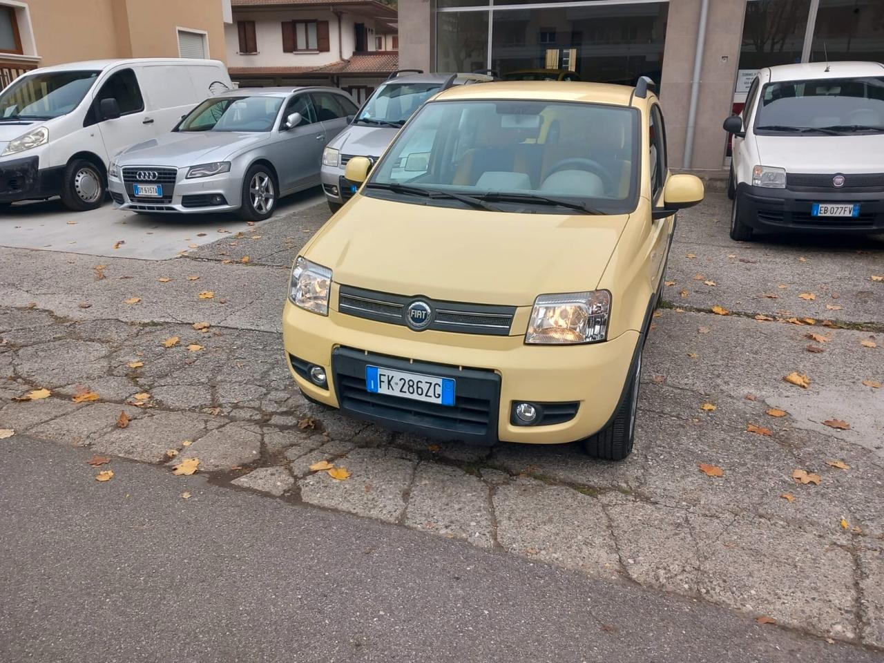 Fiat Panda 1.3 MJT 16V 4x4 - NEOPATENTATI