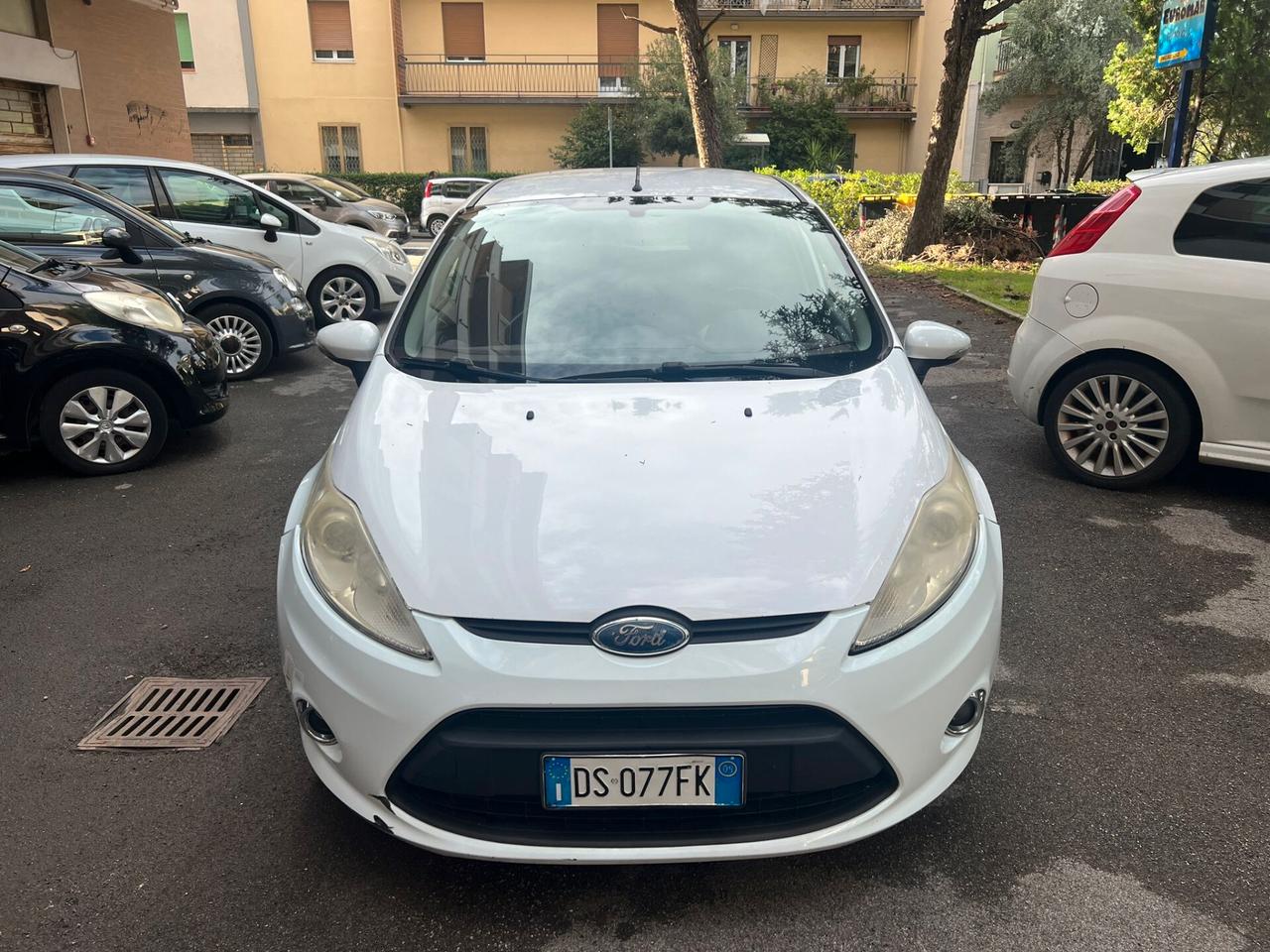 Ford Fiesta Fiesta 1.6 TDCi 90CV 5 porte DPF