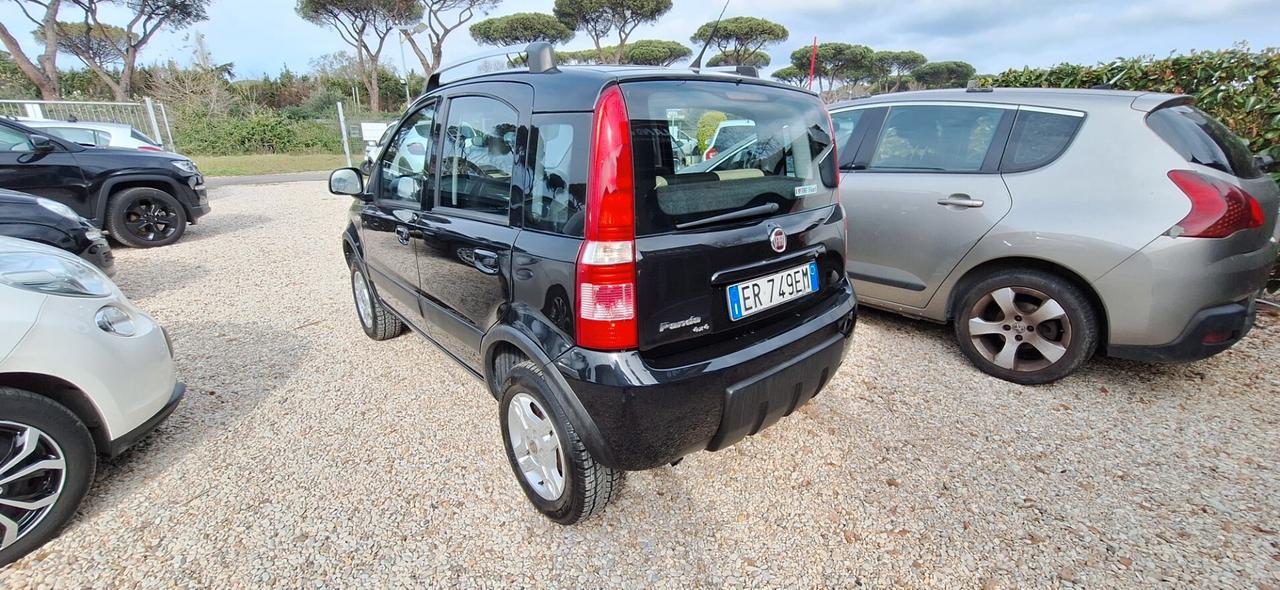 Fiat Panda 1.3 MJT 16V DPF 4x4 Climbing