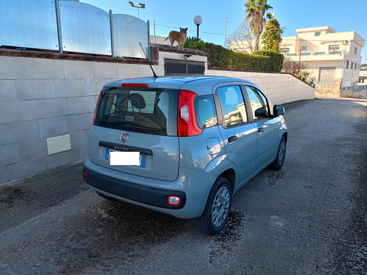 Fiat Panda 1.200 KM 66.000 KM