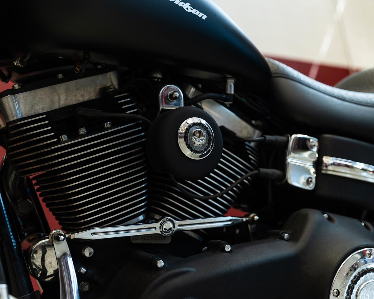 Harley-davidson Dyna "F. Bob"