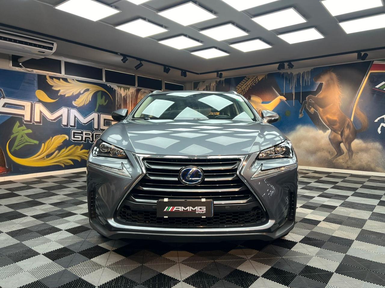 NX 300h 2.5 Executive 4wd cvt (190)