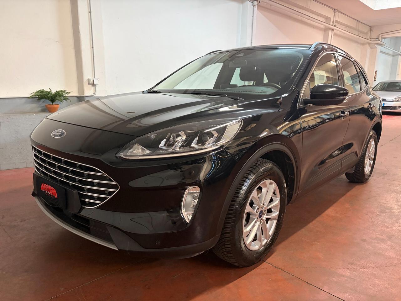 Ford Kuga 1.5 EcoBlue 120 CV aut. 2WD Titanium Business