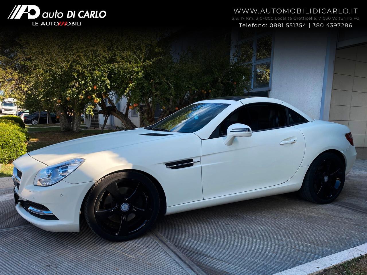 Mercedes-benz SLK 250 CDI BlueEFFICIENCY Sport