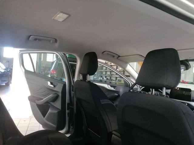 FORD Focus 1.5 EcoBlue 120 CV SW Business