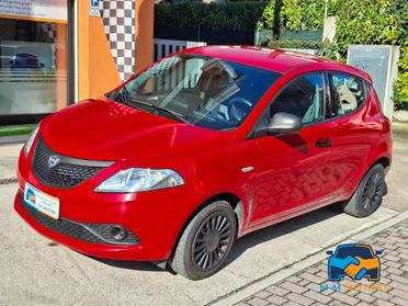 Lancia Ypsilon 5 Porte Ypsilon 1.2 Elefantino neo patentati