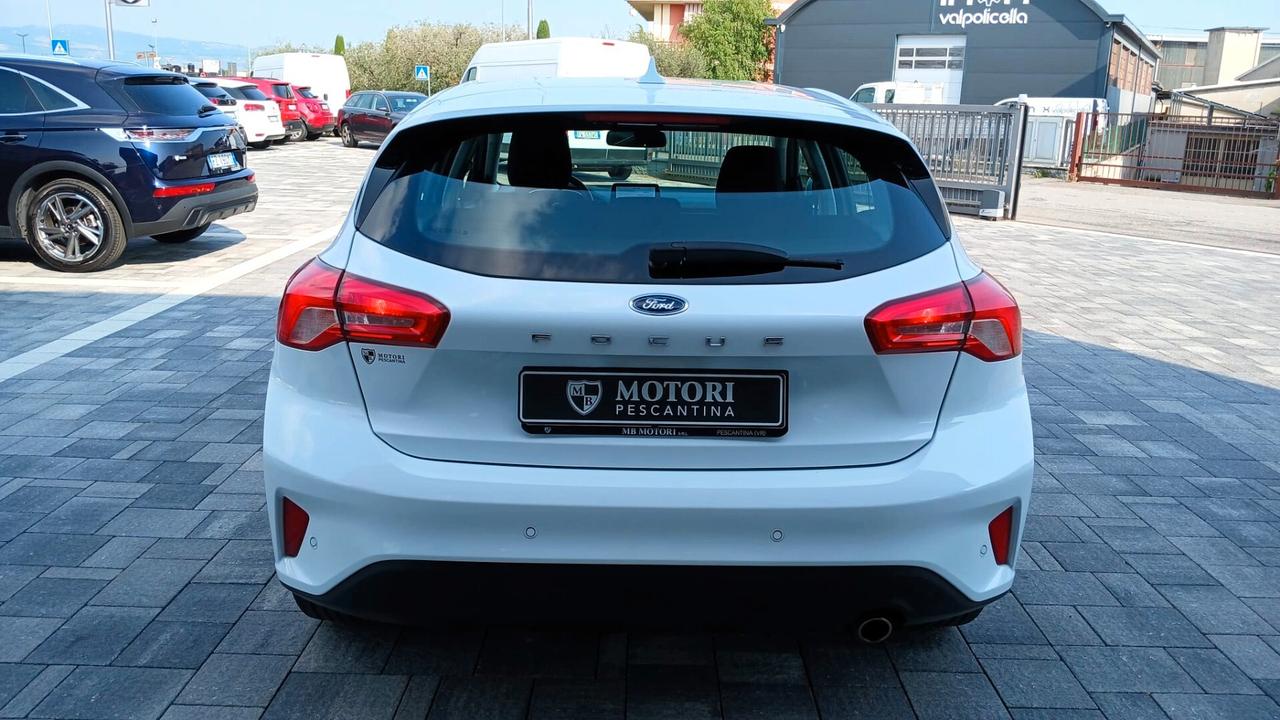 Ford Focus 1.5 EcoBlue 120 CV automatico 5p. Business Co-Pilot