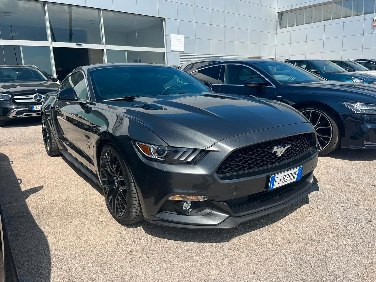 Mustang SHELBY Line