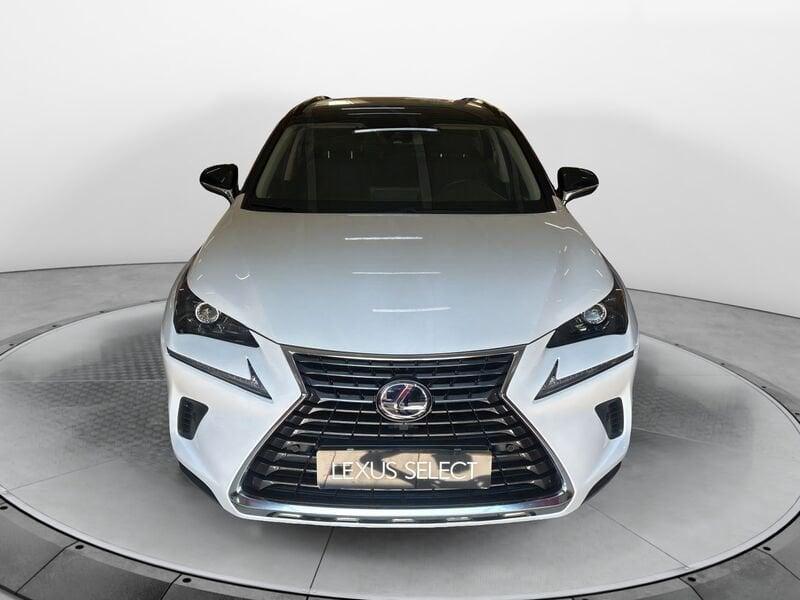 Lexus NX Hybrid 4WD Premium