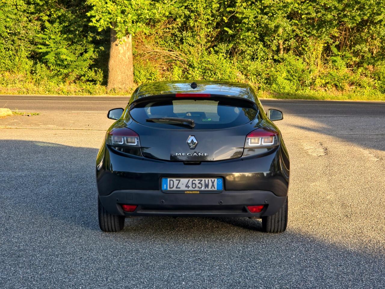 Renault Megane Mégane Coupé 1.5 dCi 110CV E5 Luxe Manuale NEO 2010