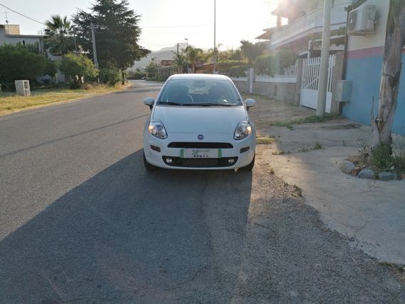 Fiat Punto 1.3 Mjt Ii Samps 95 Cv 82018