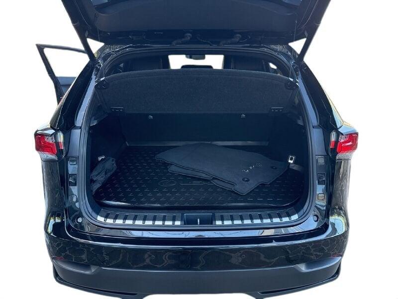 Lexus NX LEXUS NX 300 Hybrid 4WD F-Sport