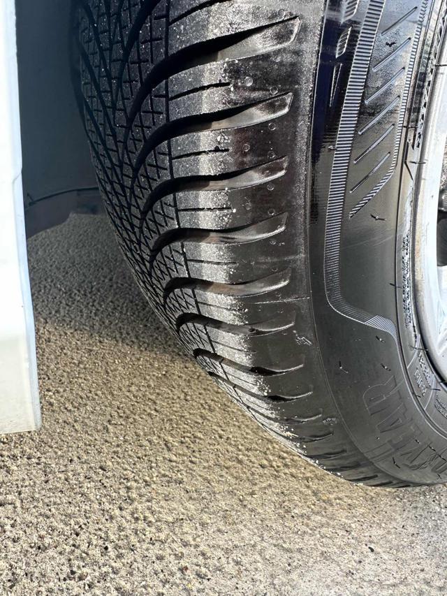 VOLKSWAGEN Golf 1.5 TGI 5p. Executive BlueMotion Technology