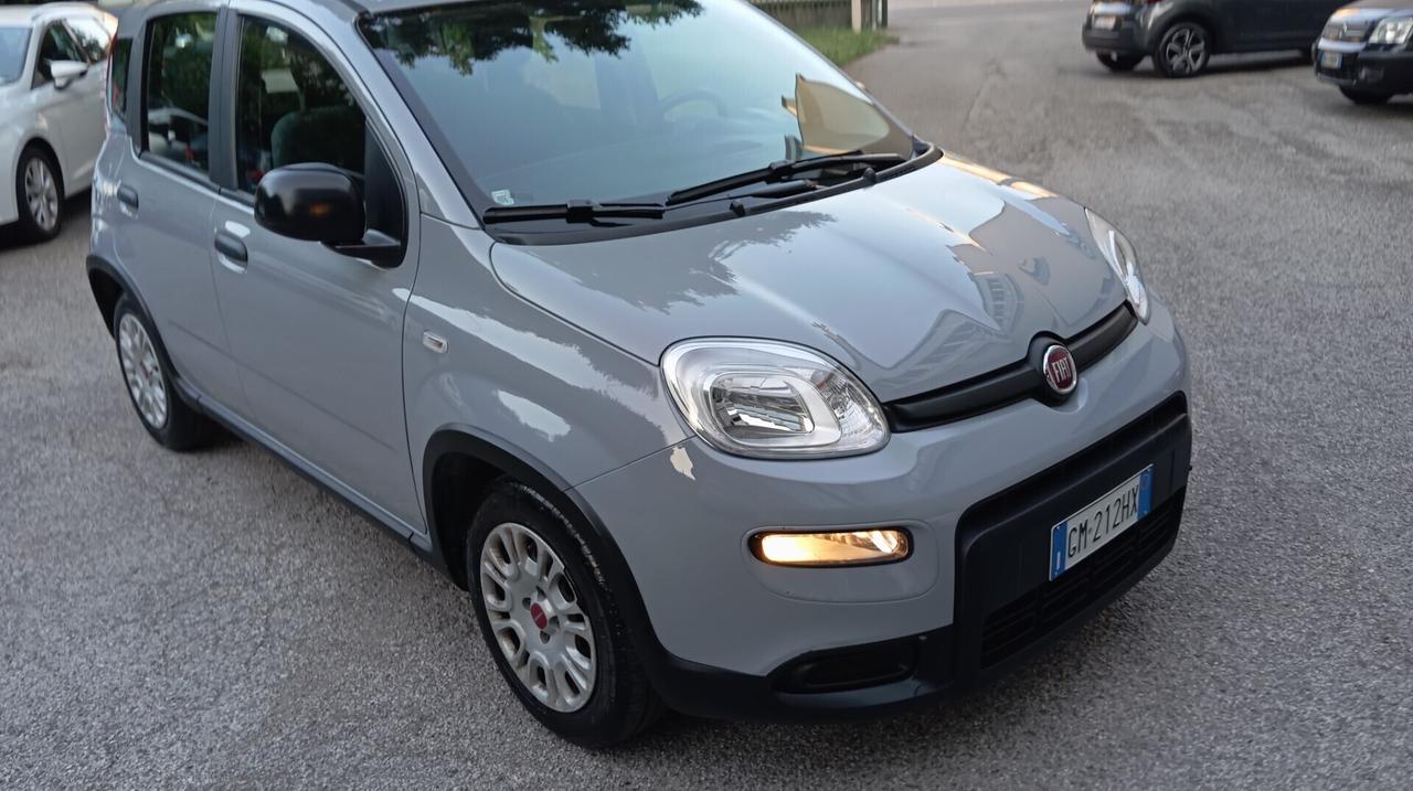 Fiat Panda 1.0 FireFly S&S Hybrid City Life