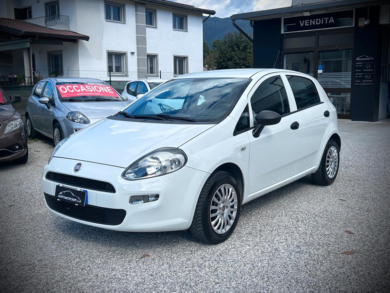 Fiat Punto 1.2 5 porte Street-UNIPROPRIETARIO