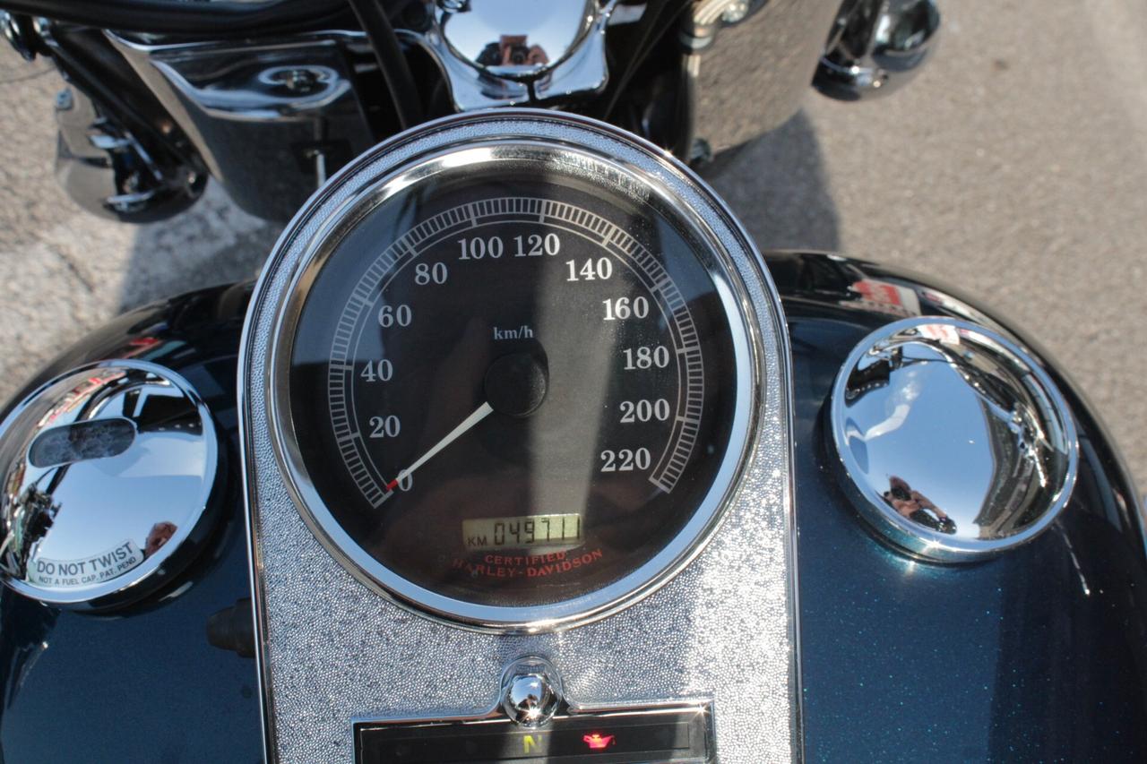 Harley-davidson FLSTC Heritage Softail Classic BAULE IN CUOIO, BORSE LATERALI