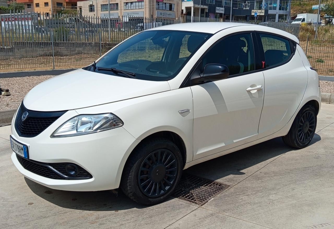 Lancia Ypsilon 1.2 69 CV 5 porte Elefantino