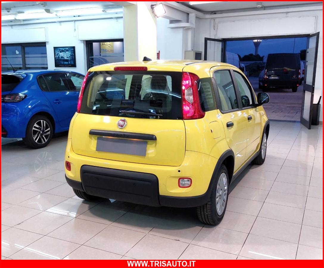 FIAT Panda 1.0 FireFly S&S Hybrid MY24 KM ZERO!!! IVATA NEOPATENTATI