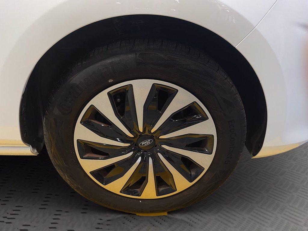 FORD Fiesta 5p 1.1 Titanium 75cv del 2022