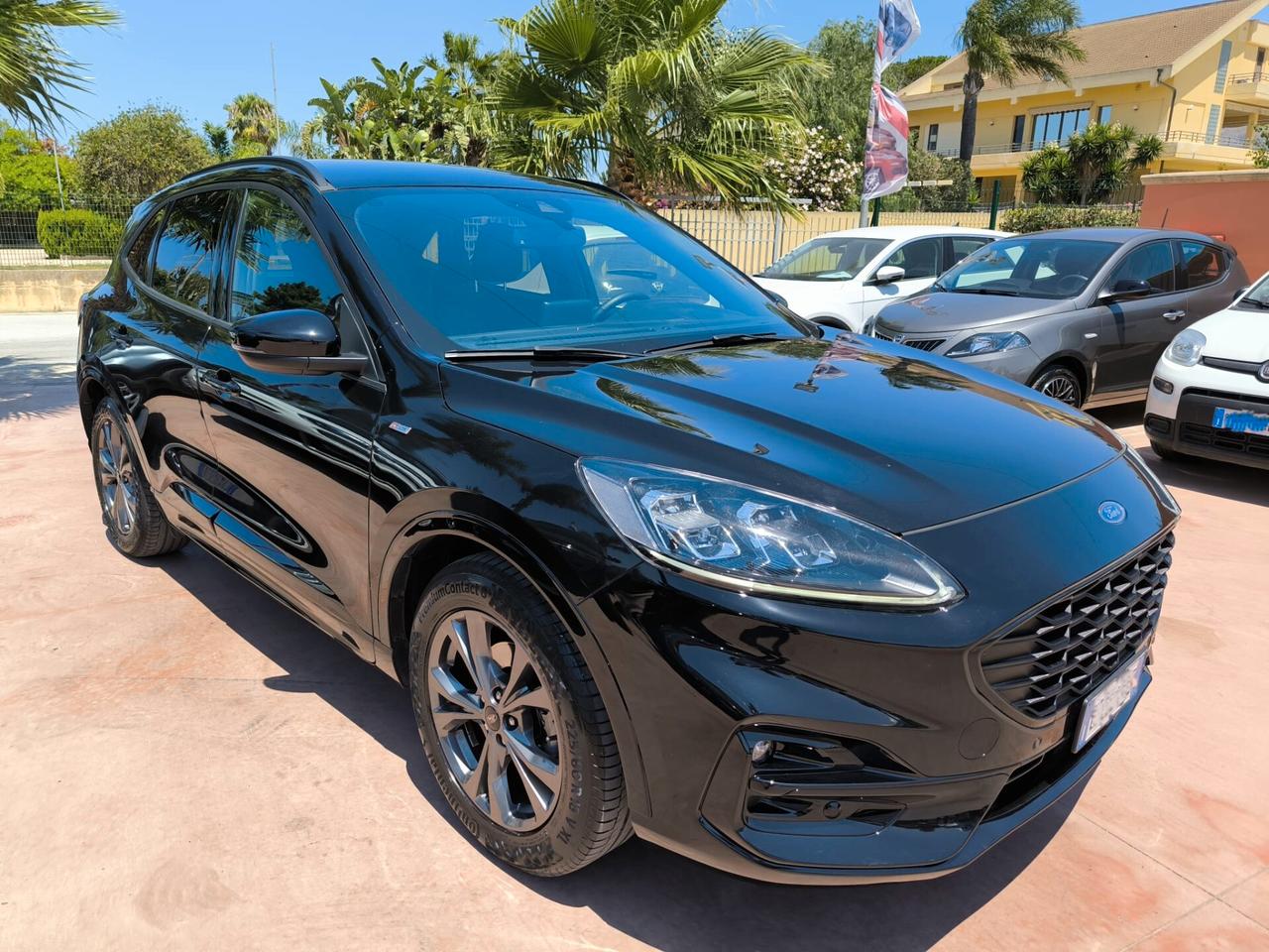 Ford Kuga 1.5 EcoBlue 120 CV 2WD ST-Line