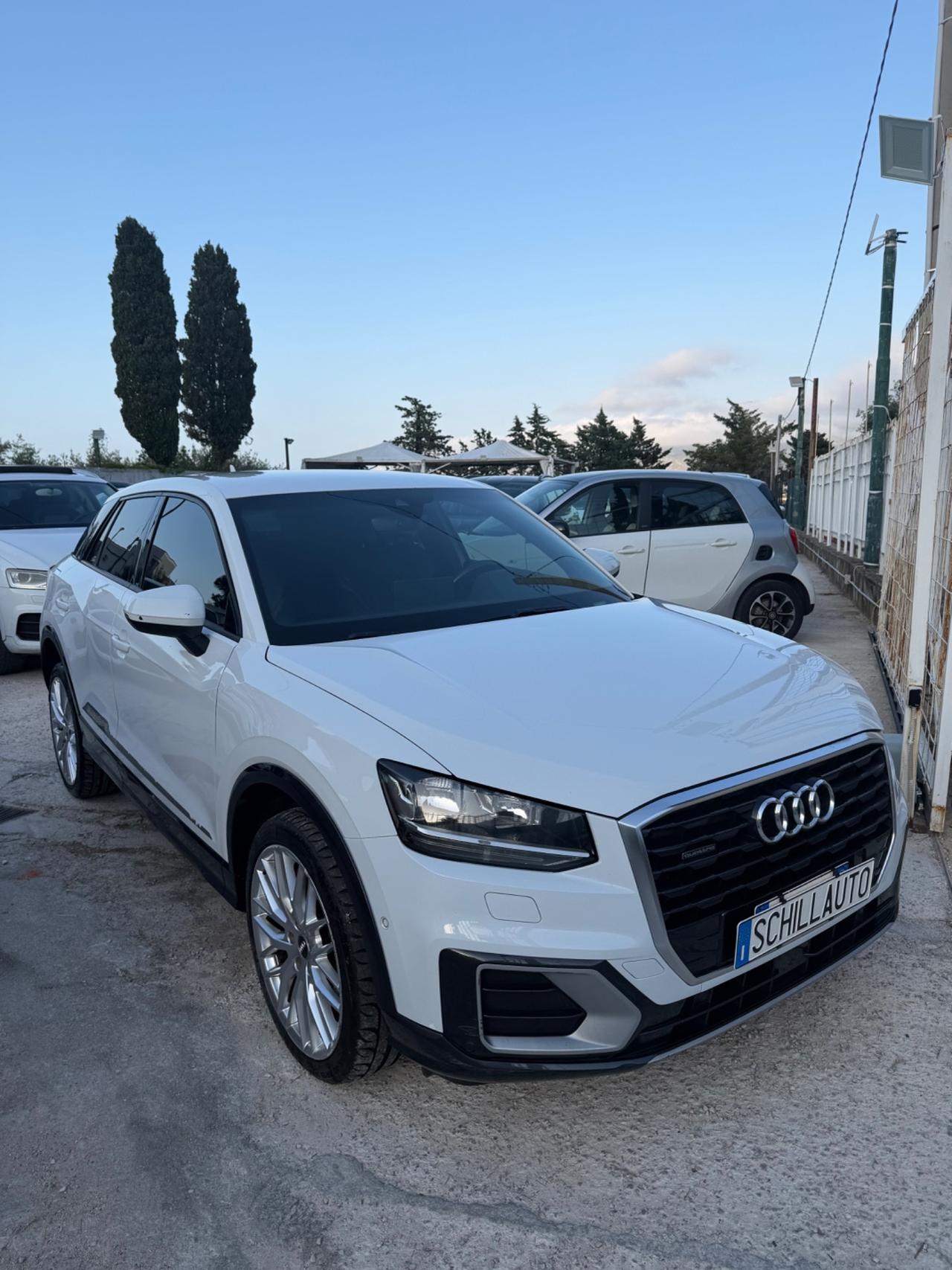 Audi Q2 2.0 TDI 190 CV quattro S tronic