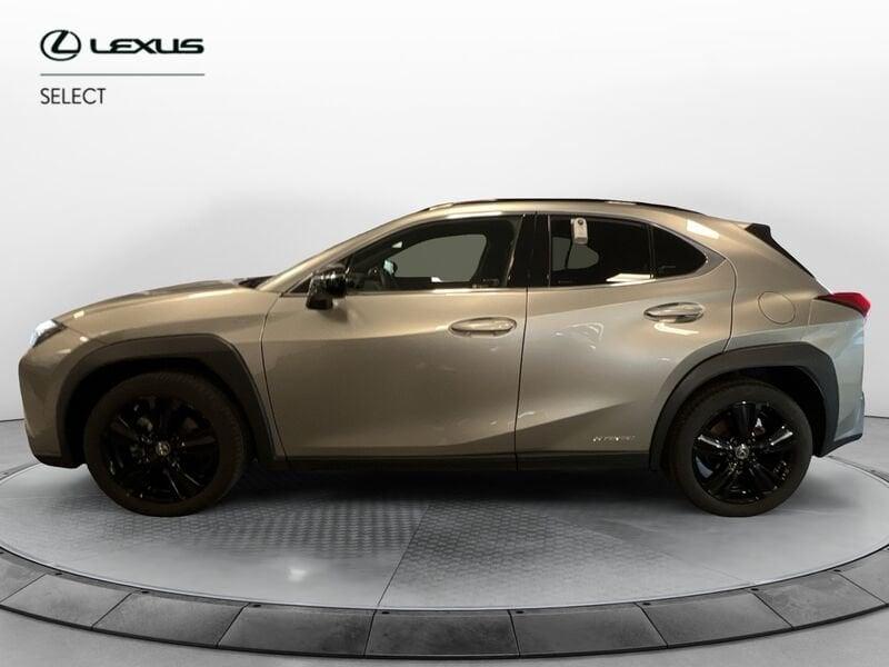 Lexus UX Hybrid 4WD Midnight
