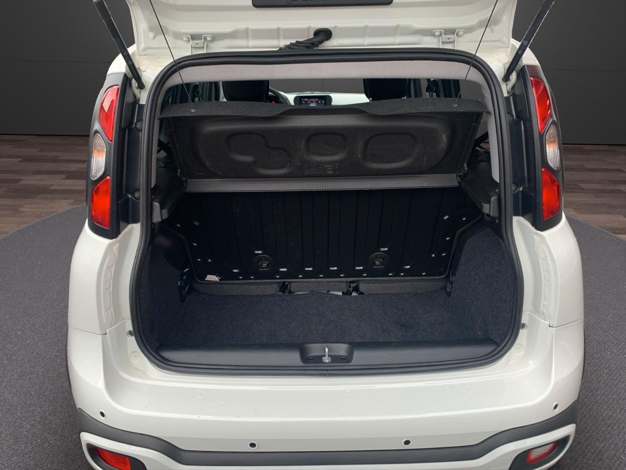 Fiat Panda 1.0 FireFly S&S Hybrid Pandina