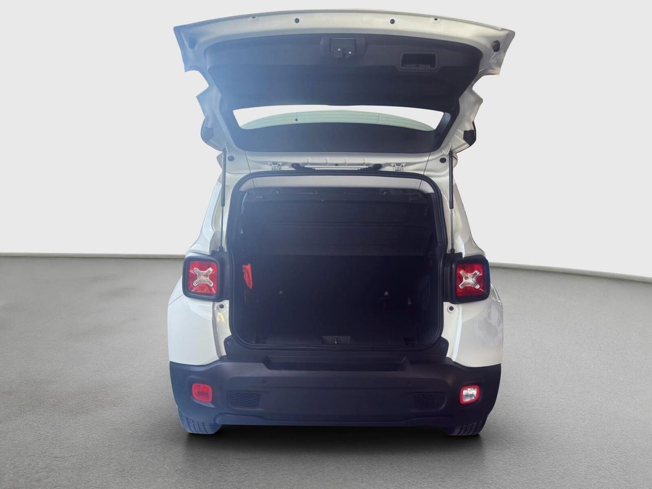 Jeep Renegade 1.0 T3 Business